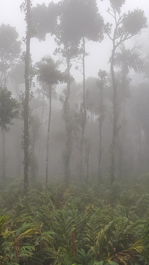 Hotel Tree Blanche Munnar Exteriér fotografie