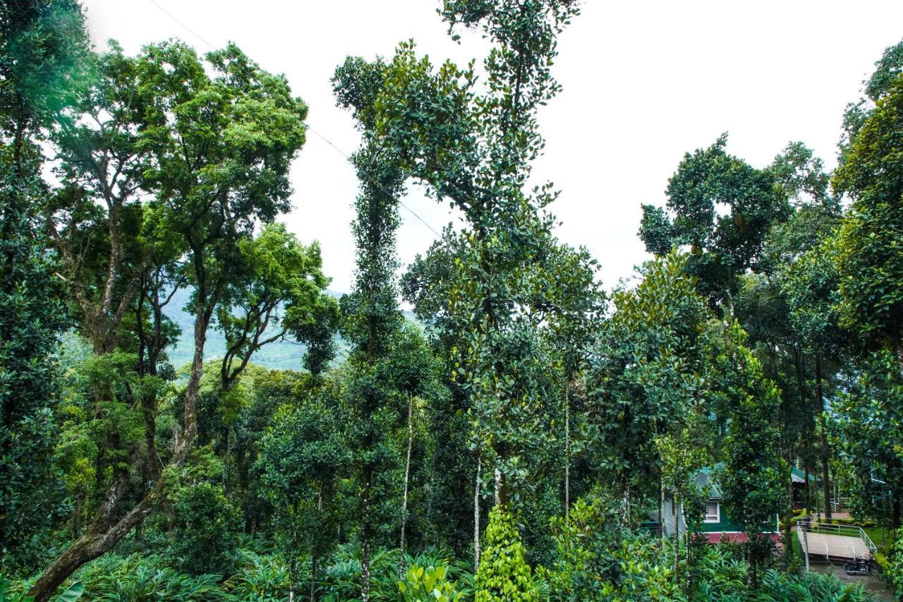 Hotel Tree Blanche Munnar Exteriér fotografie
